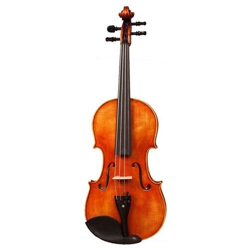Купить Скрипка Harald Lorenz №8 HL-8-4/4
 

Скидка 32%