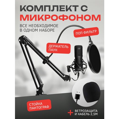 Купить Конденсаторный студийный микрофон для ПК с USB разьемом ВМ-800 со стойкой-пантог...
