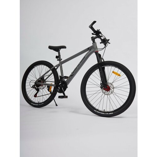 Купить Горный взрослый велосипед Team Klasse B-1-F, серый, диаметр колес 26 дюймов
Легк...