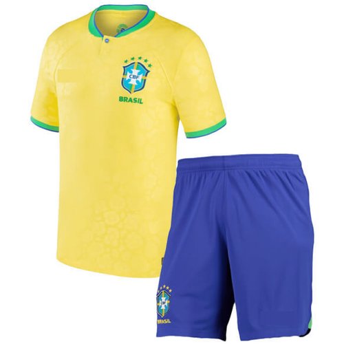 Купить Костюм , размер 22, желтый
Детская форма Сборная Бразили.<br><br>Все эмблемы и л...
