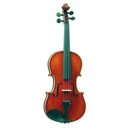 Купить Скрипка Vasile Gliga M-V044-N
Мастеровая скрипка. Цельная нижняя дека из ореха и...