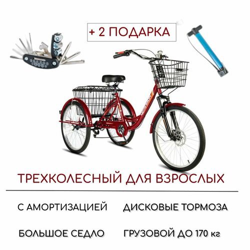 Купить Трехколесный велосипед для взрослых РВЗ "Чемпион", 24", 2023 г. в, красный
Взрос...