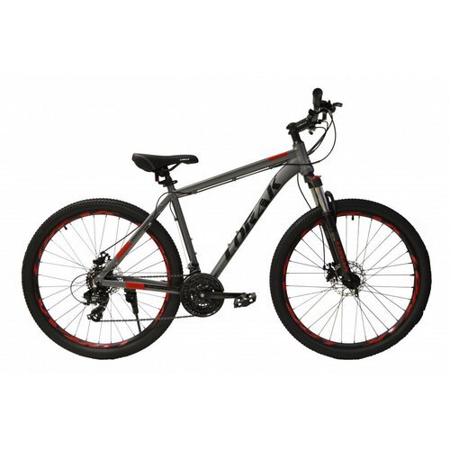 Купить Велосипед Lorak LX3 Матовый Серый/Красный 21р.
Велосипед Lorak LX3 - это горный...