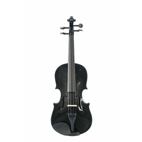 Купить Скрипка Fabio SF-3600 BK (3/4)
Скрипка Fabio SF-3600 BK (3/4) - это инструмент,...