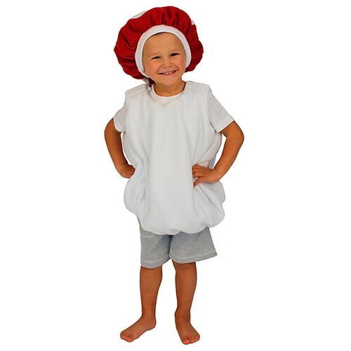 Купить Костюм Вестифика, размер 128-134, белый/красный
Детский карнавальный костюм Мухо...