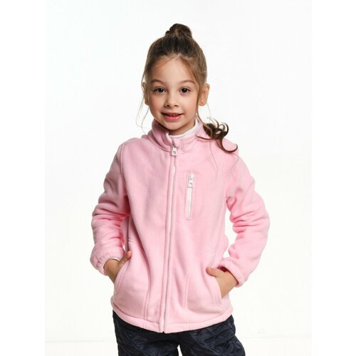 Купить Олимпийка Mini Maxi, размер 104, розовый
Толстовка для девочек Mini Maxi, модель...