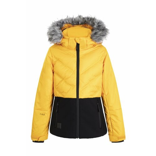 Купить Куртка ICEPEAK, размер 116, желтый, черный
Куртка горнолыжная детская Icepeak Li...