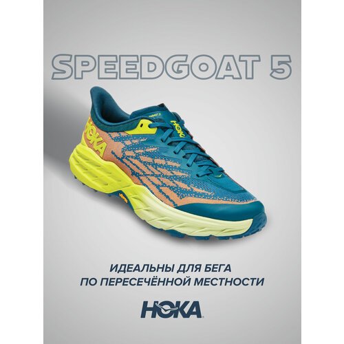 Купить Кроссовки HOKA Speedgoat 5, полнота 2E, размер US8.5EE/UK8/EU42/JPN26.5, синий,...
