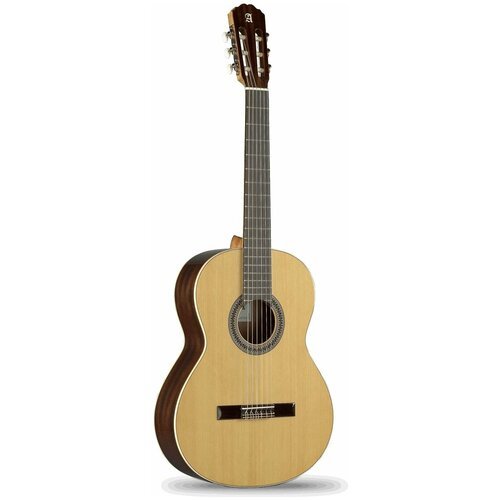 Купить 6.203 Classical Student 2C A Классическая гитара, Alhambra
6.203 Classical Stude...
