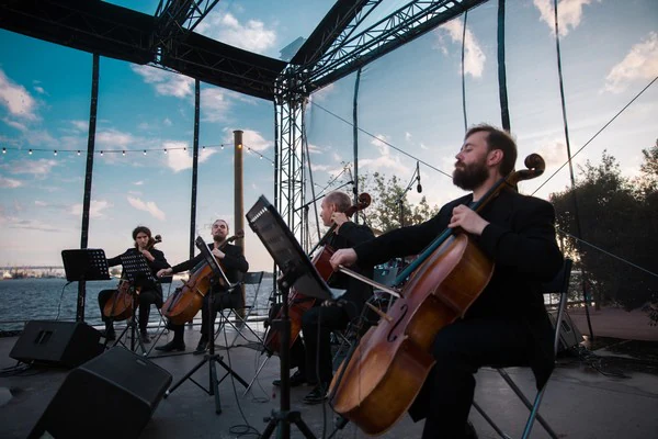 Violoncellica Коллектив