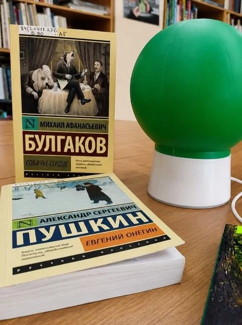 Битва знатоков: А я книгу узнаю… — Центральная библиотека, с. Северное — афиша Село Северное