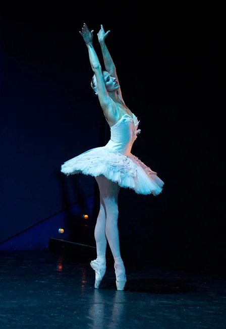 BalletGala. Гала-Балет — Театр им. Н.И. Сац — афиша
