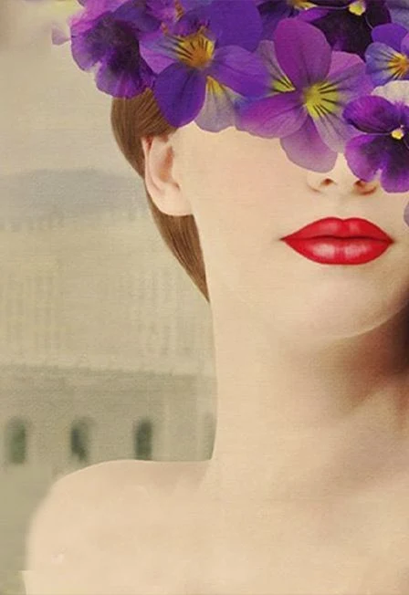 Фиалка Монмартра. Оперетта — Филармония им. Г.Тукая — афиша