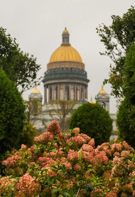 Фотопрогулка по центру Петербурга: дворы и парадные, легенды и крыша — Место встречи: выход из метро Адмиралтейская — афиша