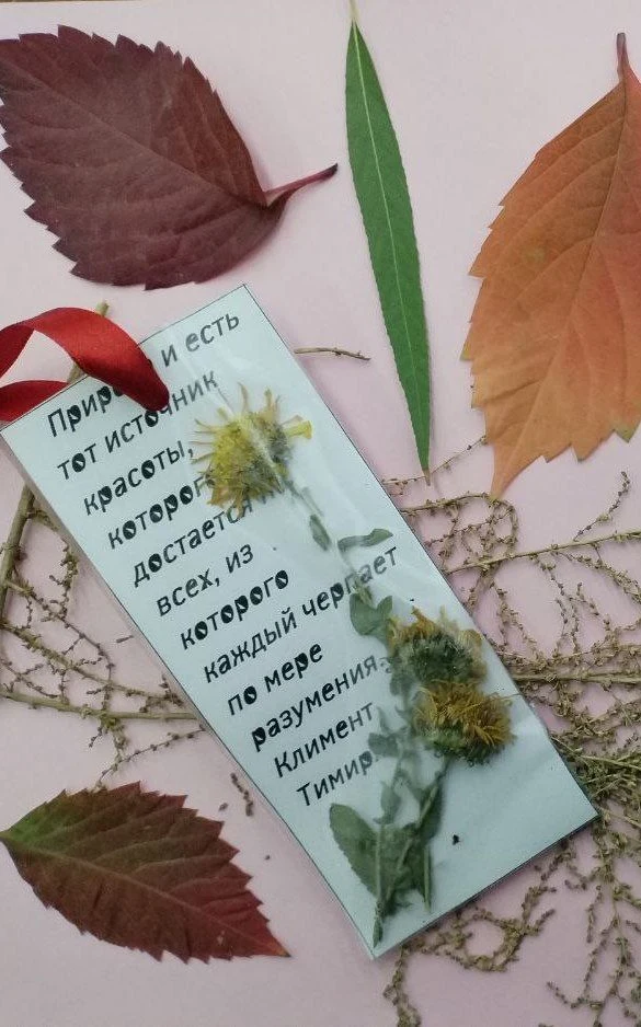 Мастер-класс по изготовлению закладки-гербария: Остановись, мгновение — Библиотека им.М.Горького — афиша
