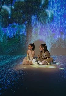Посещение СоюзМультПарка — Союзмультпарк — афиша