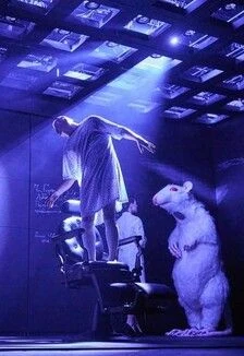 Цветы для Элджернона — НГДТ Старый дом — афиша