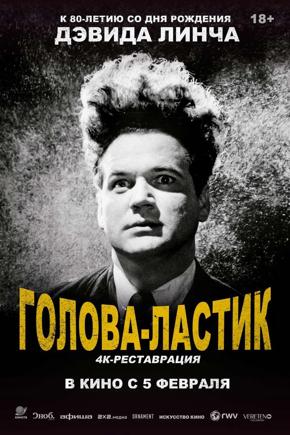 Голова-ластик — постер фильма
