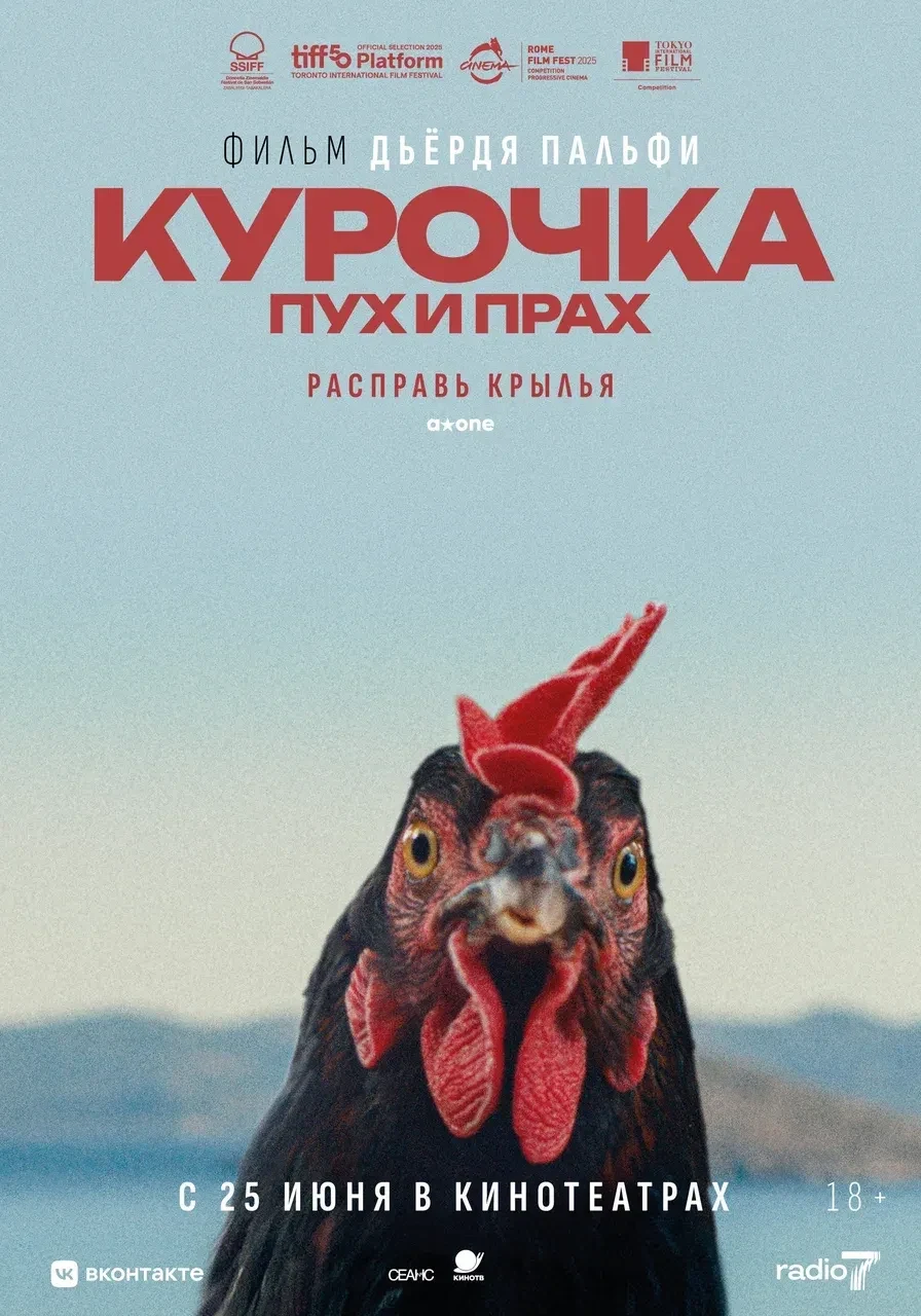 Курочка. Пух и прах