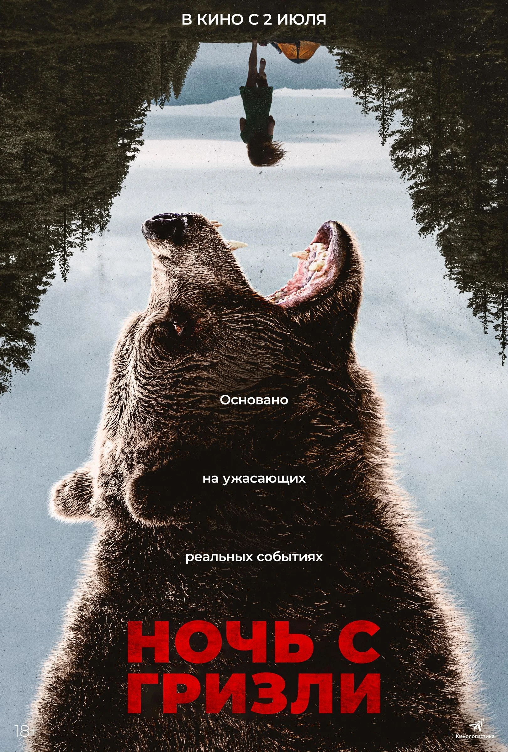 Ночь с гризли — постер фильма