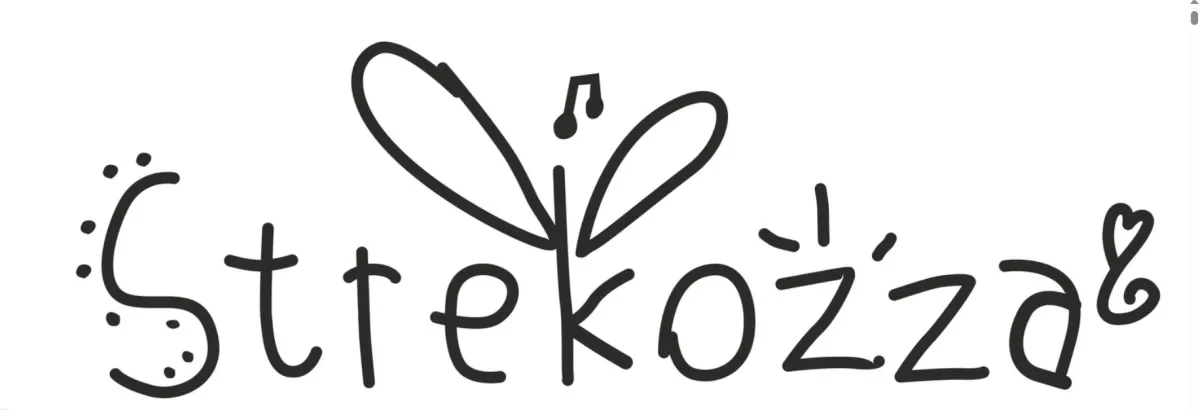 Детский Оперный Театр «Strekozza» — театр