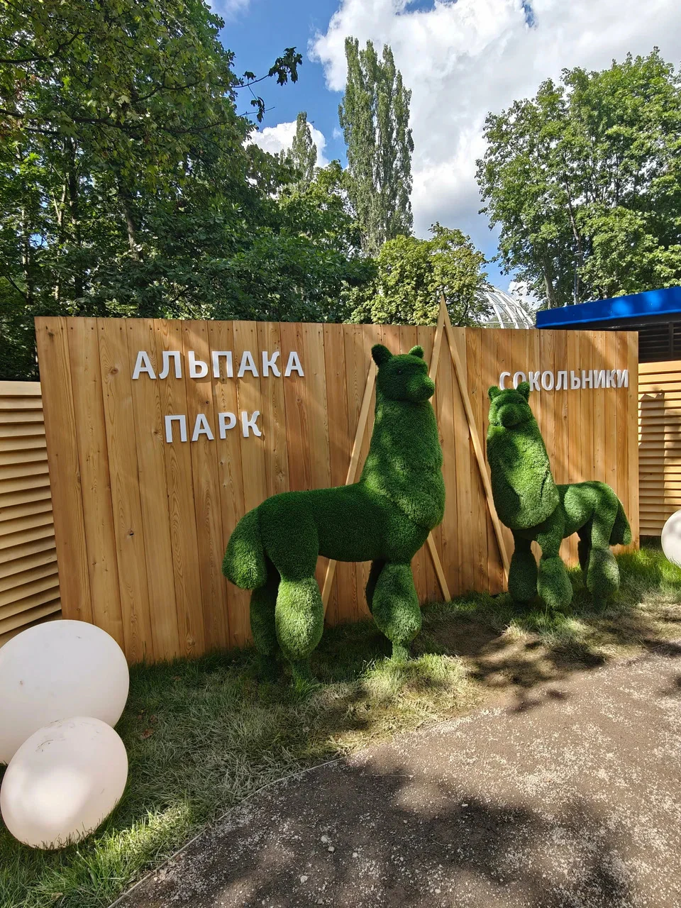 Обложка — Альпака Парк Сокольники