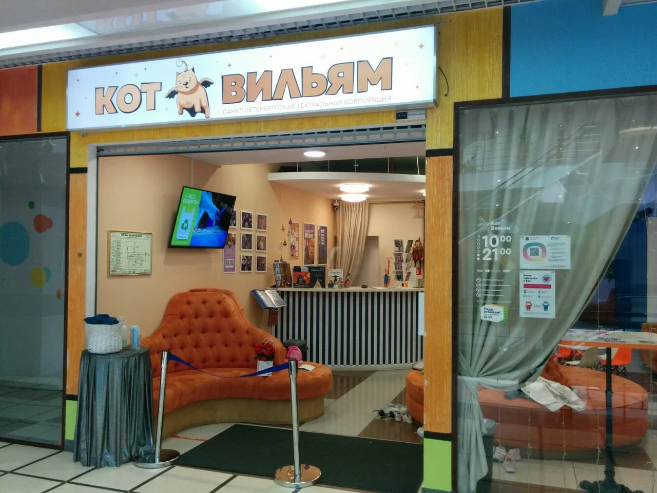 Кот Вильям, фото 5