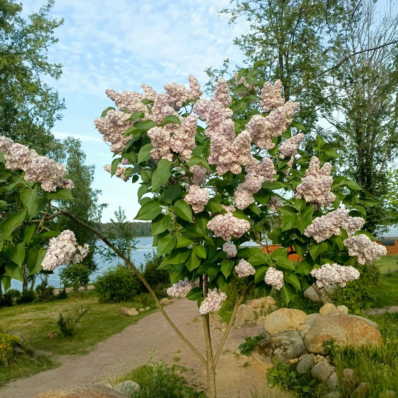 Вуокса Парк, фото 5