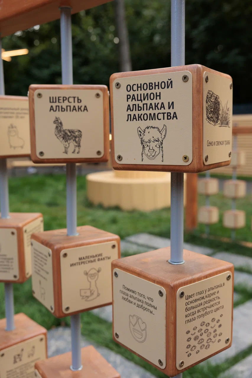 Альпака Парк Сокольники, фото 2