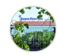 Дворец культуры КИНЕФ