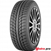 Champiro WinterPro
