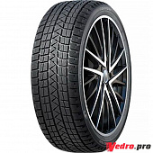 Winter Pro TSS1