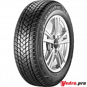 WINTER PRO 2