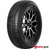 Roadian 541