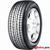 Potenza RE031