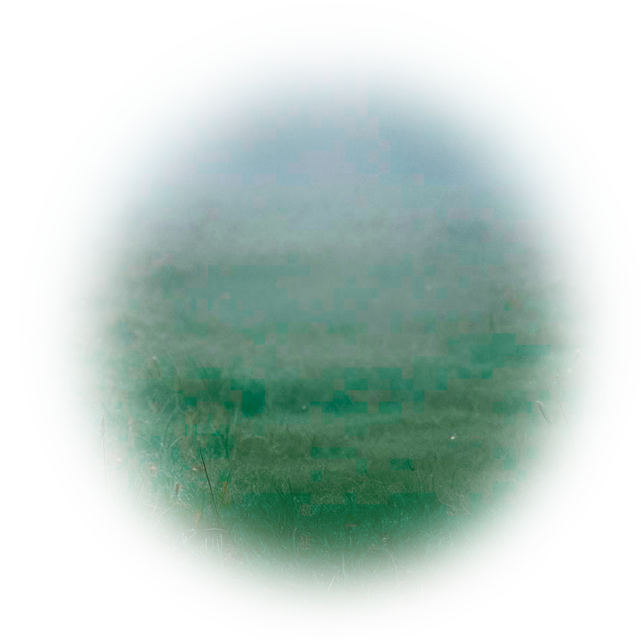 Лого Вебстудия Капира