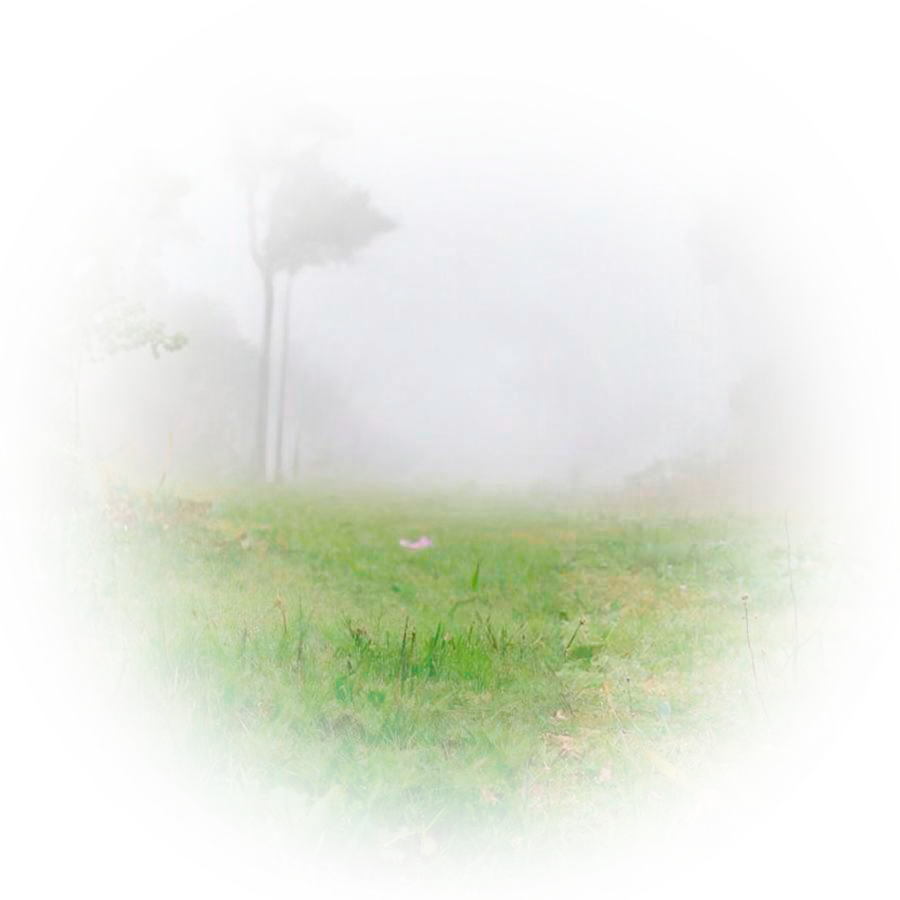 Лого Вебстудия Капира