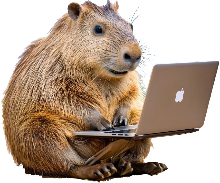 Лого Вебстудия Капира