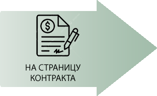 Лого Вебстудия Капира