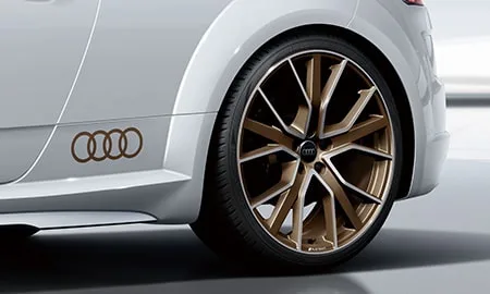 Audi Tts Coupe MEMORIAL EDITION (FVDNFF)