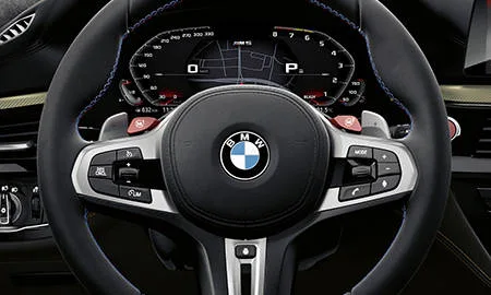 Bmw M5 35JAHRE EDITION (JF44M)