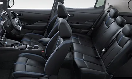 Nissan Leaf e+ G (ZE1)