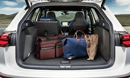 Volkswagen Golf R Variant TSI 4MOTION (CDDNFV)