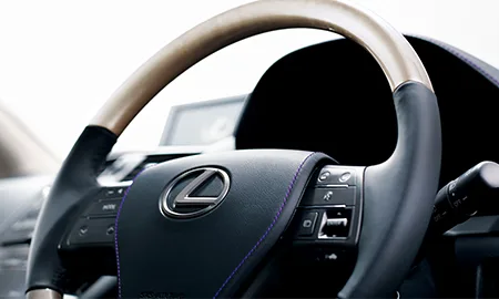 Lexus HS250H HARMONIOUS LEATHER INTERIORII (ANF10)