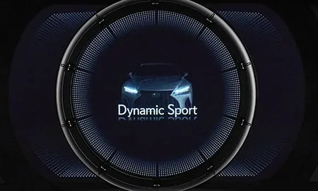 Lexus IS300 F SPORT MODE BLACK IV (ASE30)