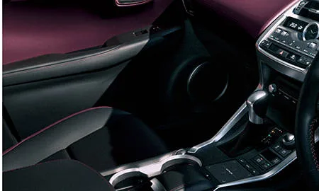 Lexus NX300H SPICE&CHIC (AYZ10)