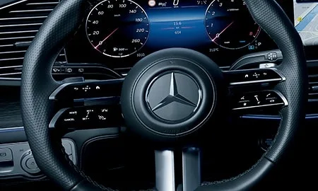Mercedes Benz Gls 450D 4MATIC NIGHT EDITION (167933 / 167985)
