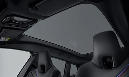 Bmw IX M70 X DRIVE (31CF93A)