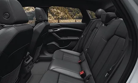 Audi A6 Avant Etron PERFORMANCE (GH01A / GH01S)