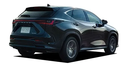 Lexus NX250 VERSION L (AAZA25)